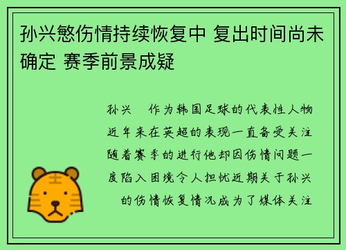 孙兴慜伤情持续恢复中 复出时间尚未确定 赛季前景成疑